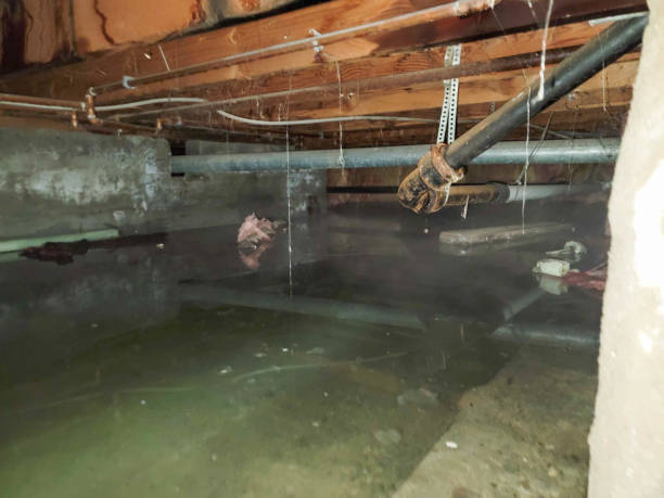 Best Commercial water damage restoration  in First Mesa, AZ