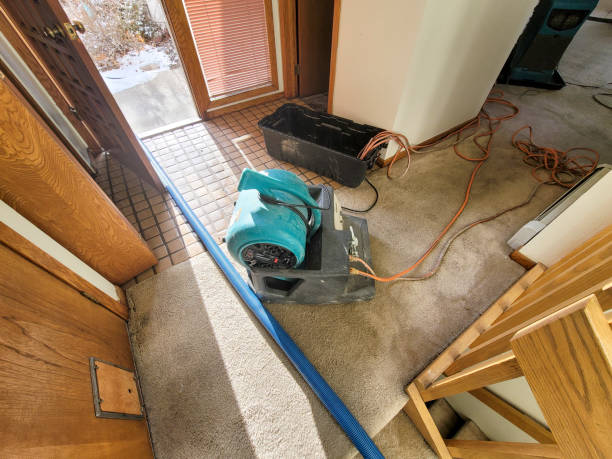 Sewage cleanup and water damage restoration in AZ