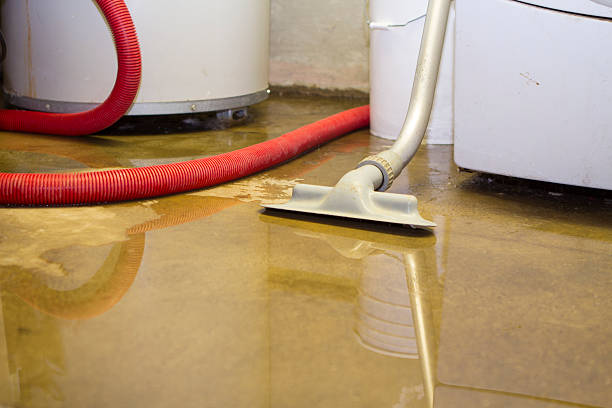 Water damage restoration mold remediation in AZ