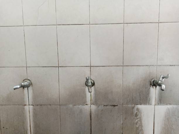 Best Basement water damage restoration  in First Mesa, AZ