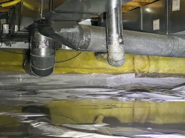 Best Mold removal after water damage  in First Mesa, AZ