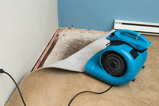 Best Ceiling water damage repair  in First Mesa, AZ